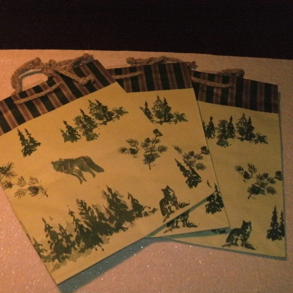 NWT LOT of 3 American Greetings WOLF OUTDOOR All Occasion Gift Bag 10x13